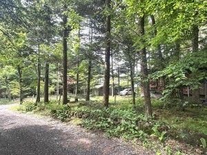 北佐久郡軽井沢町大字長倉、土地の画像です