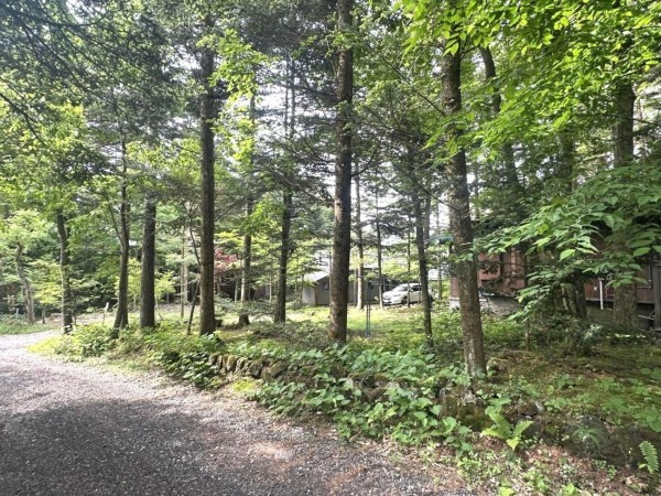 北佐久郡軽井沢町大字長倉、土地の画像です