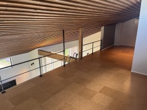 上田市上野、新築一戸建ての画像です