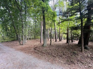 北佐久郡御代田町大字豊昇、土地の画像です