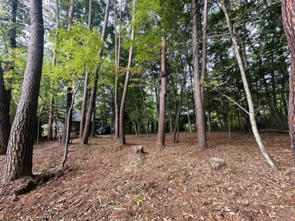 北佐久郡御代田町大字豊昇、土地の画像です