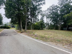 北佐久郡御代田町大字馬瀬口、土地の画像です