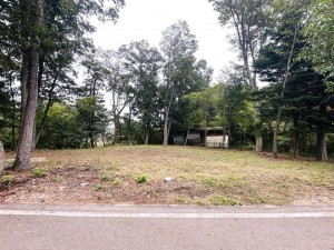 北佐久郡御代田町大字馬瀬口、土地の画像です