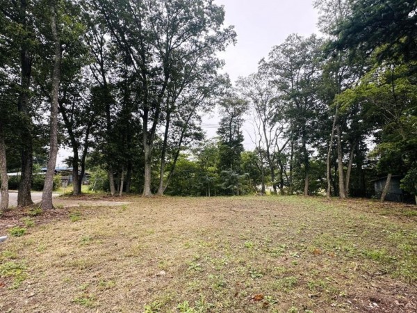 北佐久郡御代田町大字馬瀬口、土地の画像です