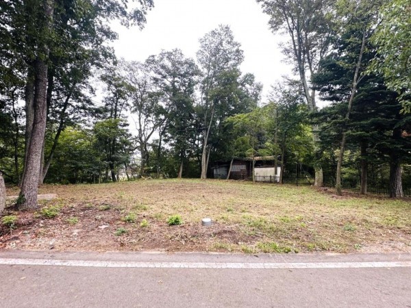 北佐久郡御代田町大字馬瀬口、土地の画像です