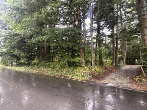 北佐久郡軽井沢町大字長倉、土地の画像です