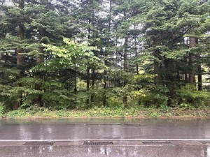 北佐久郡軽井沢町大字長倉、土地の画像です