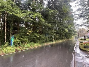 北佐久郡軽井沢町大字長倉、土地の画像です