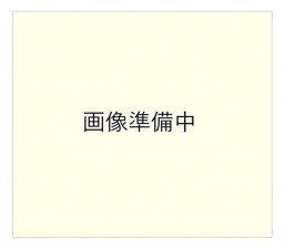 北佐久郡軽井沢町大字長倉、土地の画像です