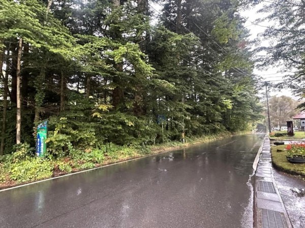 北佐久郡軽井沢町大字長倉、土地の画像です