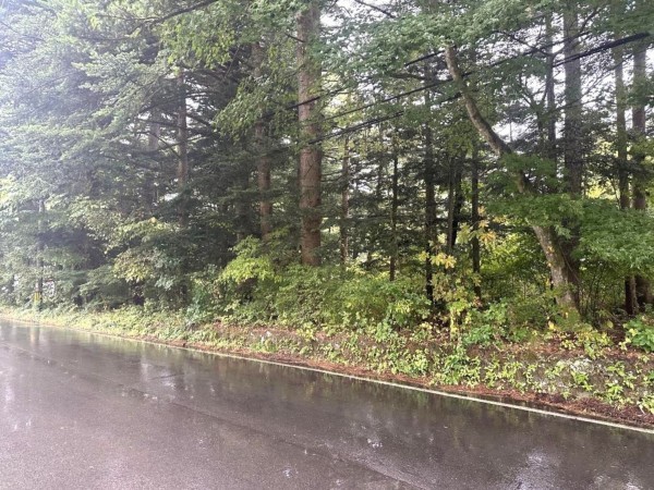 北佐久郡軽井沢町大字長倉、土地の画像です