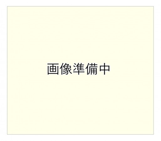 北佐久郡軽井沢町大字長倉、土地の画像です