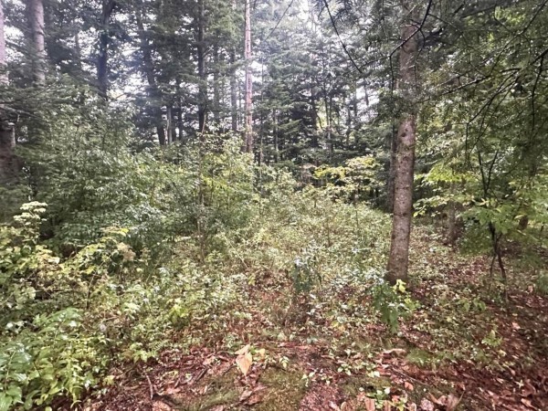 北佐久郡軽井沢町大字長倉、土地の画像です