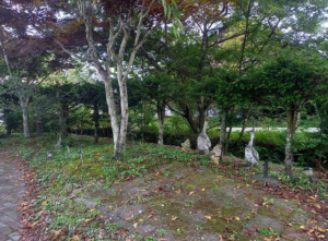 北佐久郡軽井沢町大字長倉、土地の画像です