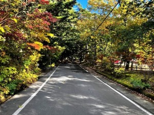 北佐久郡軽井沢町大字軽井沢、土地の画像です