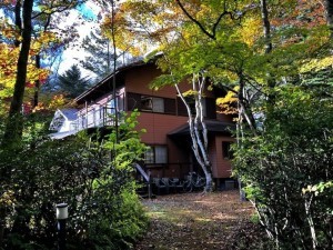 北佐久郡軽井沢町大字軽井沢、土地の画像です