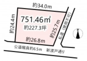 北佐久郡軽井沢町大字軽井沢、土地の間取り画像です