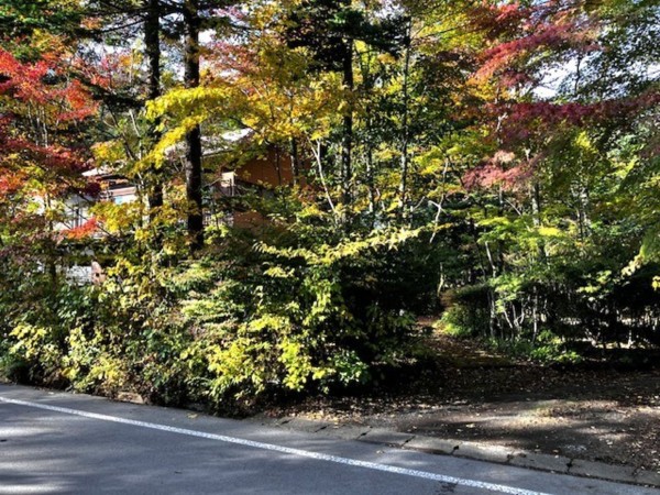北佐久郡軽井沢町大字軽井沢、土地の画像です