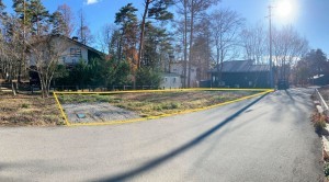 北佐久郡軽井沢町大字追分、新築一戸建ての画像です