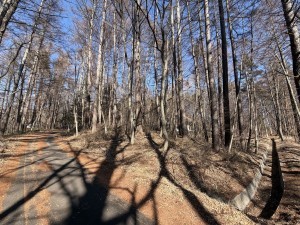 小諸市、土地の画像です