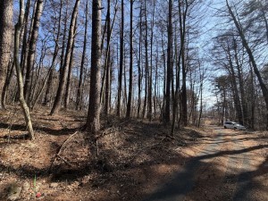 小諸市、土地の画像です