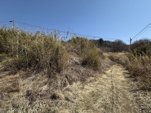 南佐久郡佐久穂町大字平林、中古一戸建ての画像です