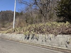 南佐久郡佐久穂町大字平林、中古一戸建ての画像です