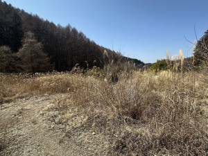 南佐久郡佐久穂町大字平林、中古一戸建ての画像です