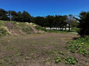 北佐久郡御代田町、土地の画像です