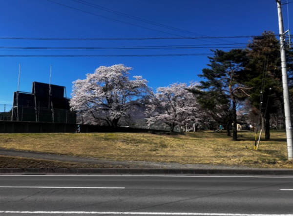 北佐久郡御代田町、土地の画像です