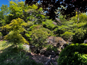 北佐久郡御代田町、中古一戸建ての画像です
