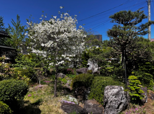 北佐久郡御代田町、中古一戸建ての画像です
