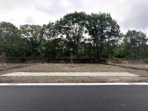 北佐久郡軽井沢町大字追分、土地の画像です