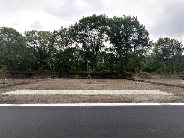 北佐久郡軽井沢町大字追分、土地の画像です