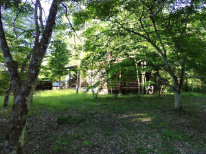 北佐久郡軽井沢町大字発地、土地の画像です