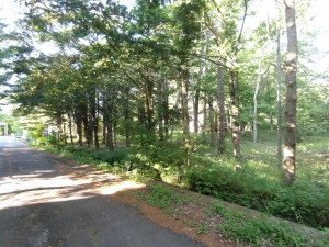 北佐久郡軽井沢町大字発地、土地の画像です