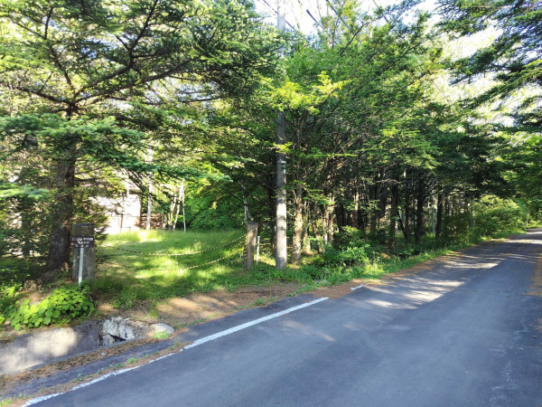 北佐久郡軽井沢町大字発地、土地の画像です