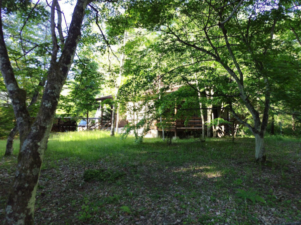 北佐久郡軽井沢町大字発地、土地の画像です