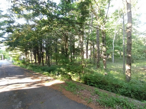 北佐久郡軽井沢町大字発地、土地の画像です