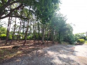 北佐久郡御代田町大字御代田、土地の画像です