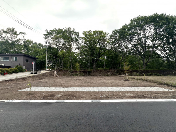 北佐久郡軽井沢町大字追分、土地の画像です