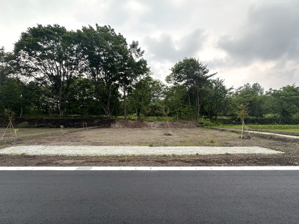 北佐久郡軽井沢町大字追分、土地の画像です