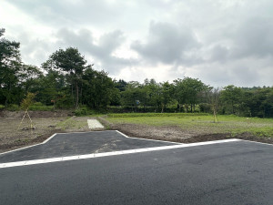北佐久郡軽井沢町大字追分、土地の画像です