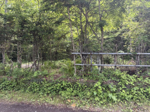 北佐久郡軽井沢町大字長倉、土地の画像です