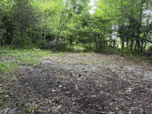 北佐久郡軽井沢町大字長倉、土地の画像です