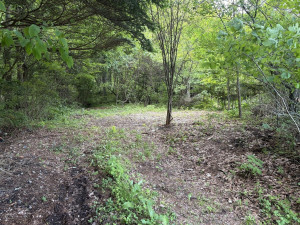 北佐久郡軽井沢町大字長倉、土地の画像です