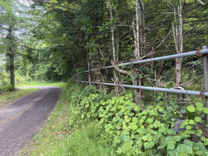 北佐久郡軽井沢町大字長倉、土地の画像です