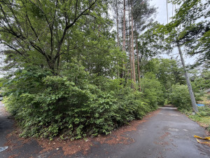 北佐久郡御代田町大字馬瀬口、土地の画像です