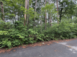 北佐久郡御代田町大字馬瀬口、土地の画像です