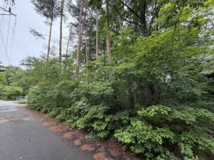 北佐久郡御代田町大字馬瀬口、土地の画像です